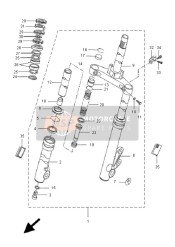 Forcella anteriore